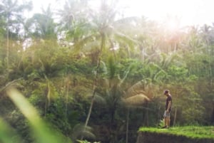 Bali: Full-Day Eat Pray Love Tour with Rice Terraces & Yoga