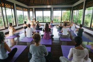 Bali: Full-Day Eat Pray Love Tour with Rice Terraces & Yoga
