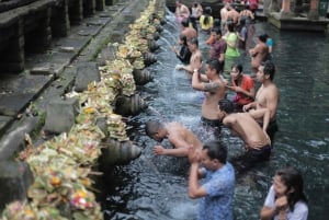 Bali: Full-Day Eat Pray Love Tour with Rice Terraces & Yoga