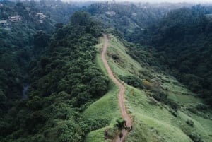 Bali: Full-Day Eat Pray Love Tour with Rice Terraces & Yoga