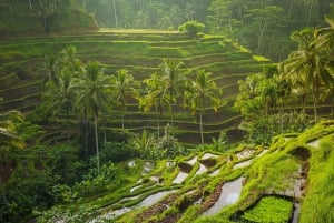 Bali: Full-Day Instagram Highlights Tour