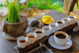 Bali Full-Day Instagram Highlights Tours