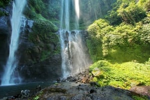 Bali Full-Day Private Customized Tour