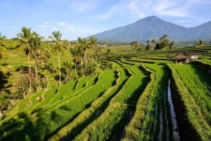 Bali: Full Day Private UNESCO World Heritage Sites Tour