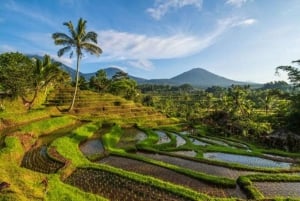 Bali: Full Day Private UNESCO World Heritage Sites Tour