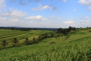 Bali: Full Day Private UNESCO World Heritage Sites Tour