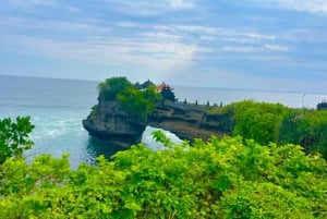 Bali: Full Day Private UNESCO World Heritage Sites Tour