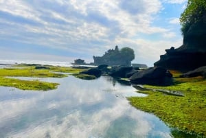 Bali: Full Day Private UNESCO World Heritage Sites Tour