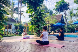 Bali: Full-Day Private Water Temple Ritual & Yoga Class
