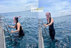 Bali : Full Day Snorkeling Nusa Penida & West Tour