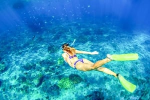 Bali: Heldags snorkeltur til Nusa Penida og Manta Point