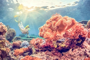 Bali: Full-Day Snorkeling Trip to Nusa Penida & Manta Point