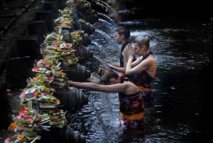 Bali: Heldagstur med spirituel renselse og shamanistisk healing