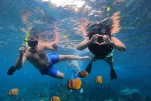 Bali heldagsudflugt Fiskeri, snorkling, spisning i Candidasa