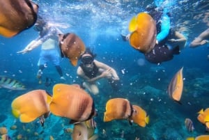 Bali heldagsudflugt Fiskeri, snorkling, spisning i Candidasa