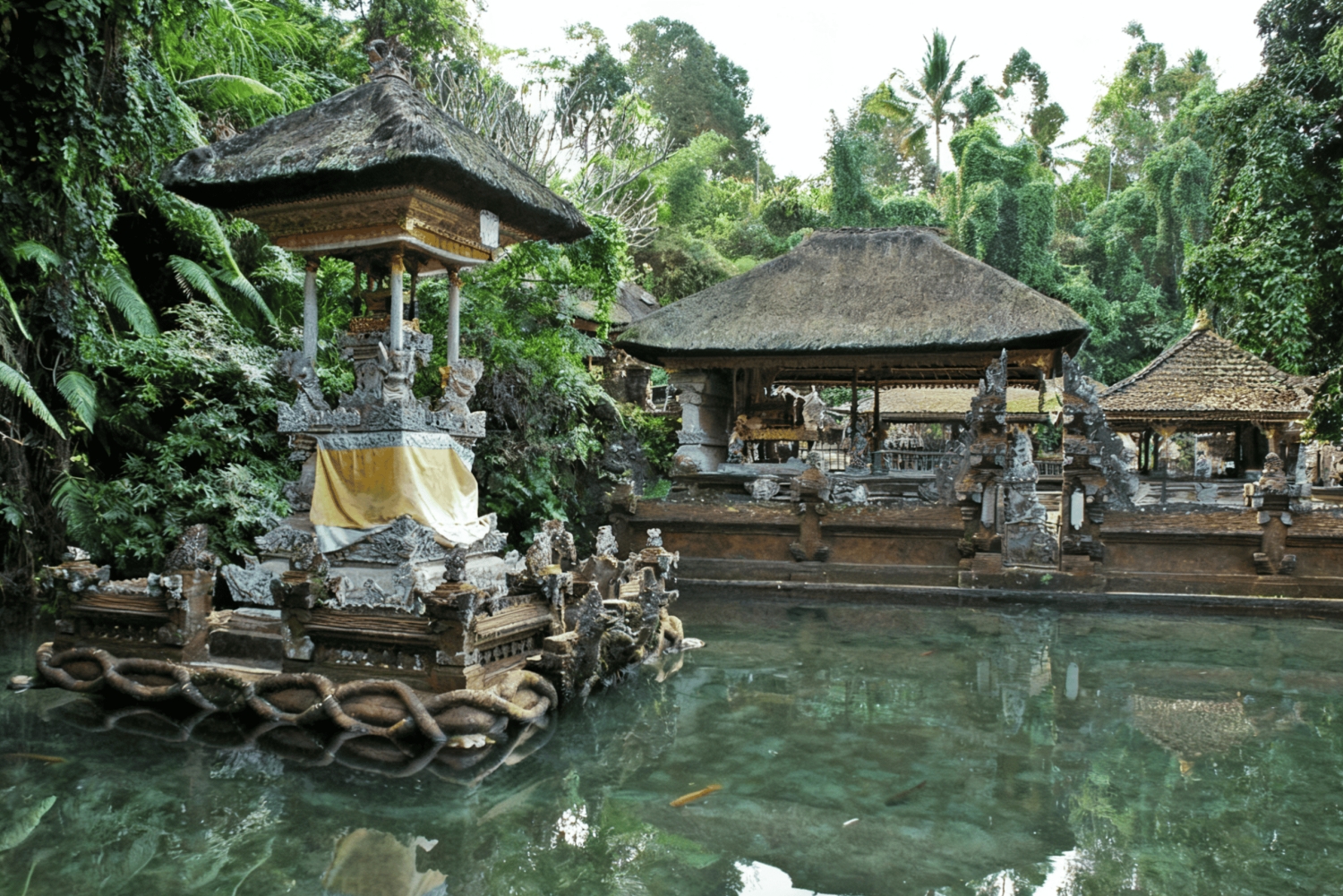 Bali : excursion d'une journée à Sangeh, Abian Desa, Sebatu et Umah Kuno