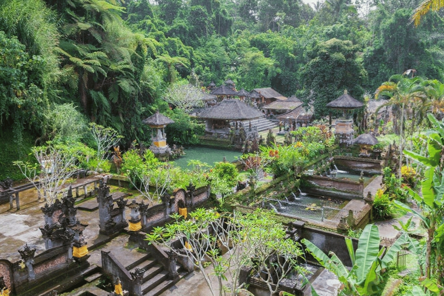 Bali : excursion d'une journée à Sangeh, Abian Desa, Sebatu et Umah Kuno