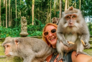 Bali : excursion d'une journée à Sangeh, Abian Desa, Sebatu et Umah Kuno