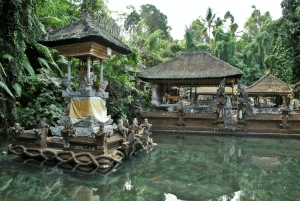 Bali : excursion d'une journée à Sangeh, Abian Desa, Sebatu et Umah Kuno