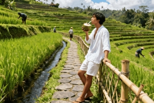 Bali : excursion d'une journée à Sangeh, Abian Desa, Sebatu et Umah Kuno