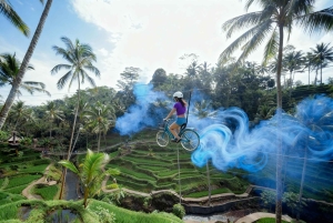 Bali : excursion d'une journée à Sangeh, Abian Desa, Sebatu et Umah Kuno