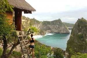 Bali: Heldagstur til østlige Nusa Penida, Tree House & Diamond