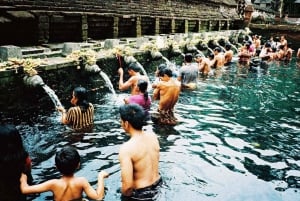 Bali: Byn Penglipuran med bambuskog och bad vid vattenfallet
