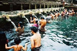 Bali: Full-Day Trip to Penglipuran Village and Bamboo Forest