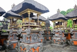 Bali: Full-Day Trip to Penglipuran Village and Bamboo Forest