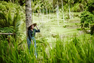 Bali: Full-Day Ubud Highlight & Tanah Lot Temple Sunset Tour