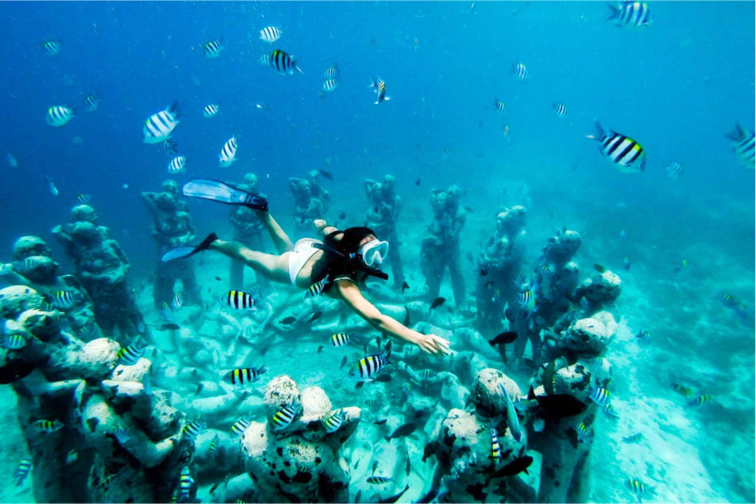 Bali: Gili Islands Snorkeling Day Trip with Hotel Pickup