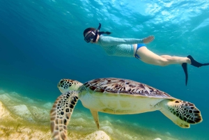 Bali: Gili Islands Snorkeling Day Trip with Hotel Pickup