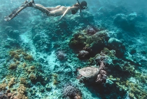 Bali: Gili Islands Snorkeling Day Trip with Hotel Pickup