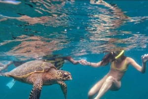 Bali: Gili Islands Snorkeling Day Trip with Hotel Pickup