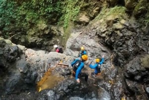 Bali: juvingekspedisjon i Gitgit-fossen med lunsj