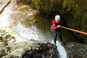 Bali: juvingekspedisjon i Gitgit-fossen med lunsj