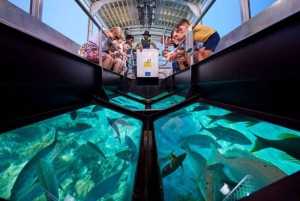 Бали: экскурсия на лодке со стеклянным дном и заповедник черепах