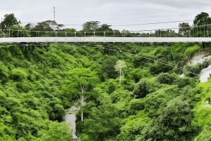 Bali: Toegangsticket glazen brug
