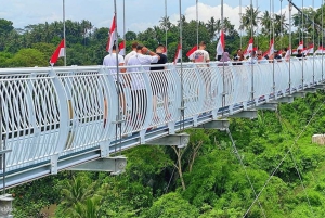 Bali: Toegangsticket glazen brug