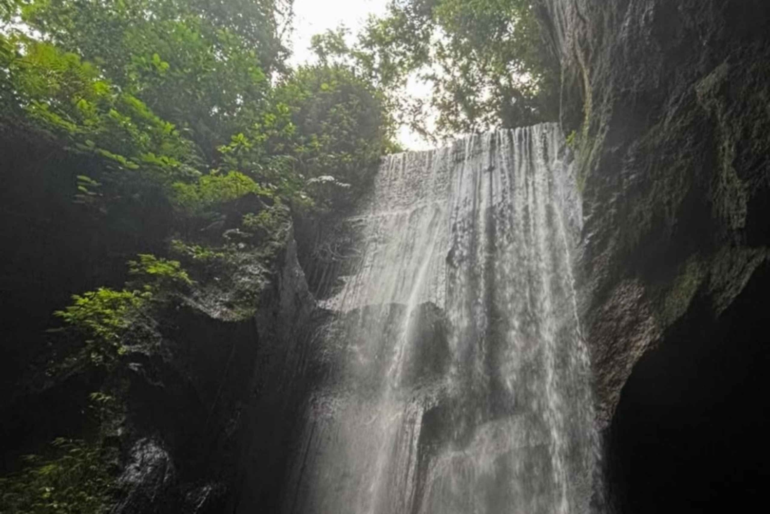 Bali: Goa Rang Reng Waterfall, Temple, and Jungle Swing Tour