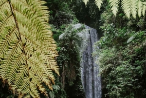 Bali: Goa Rang Reng Waterfall, Temple, and Jungle Swing Tour