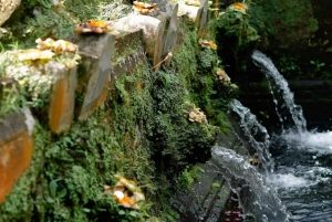 Bali: Goa Rang Reng Waterfall, Temple, and Jungle Swing Tour