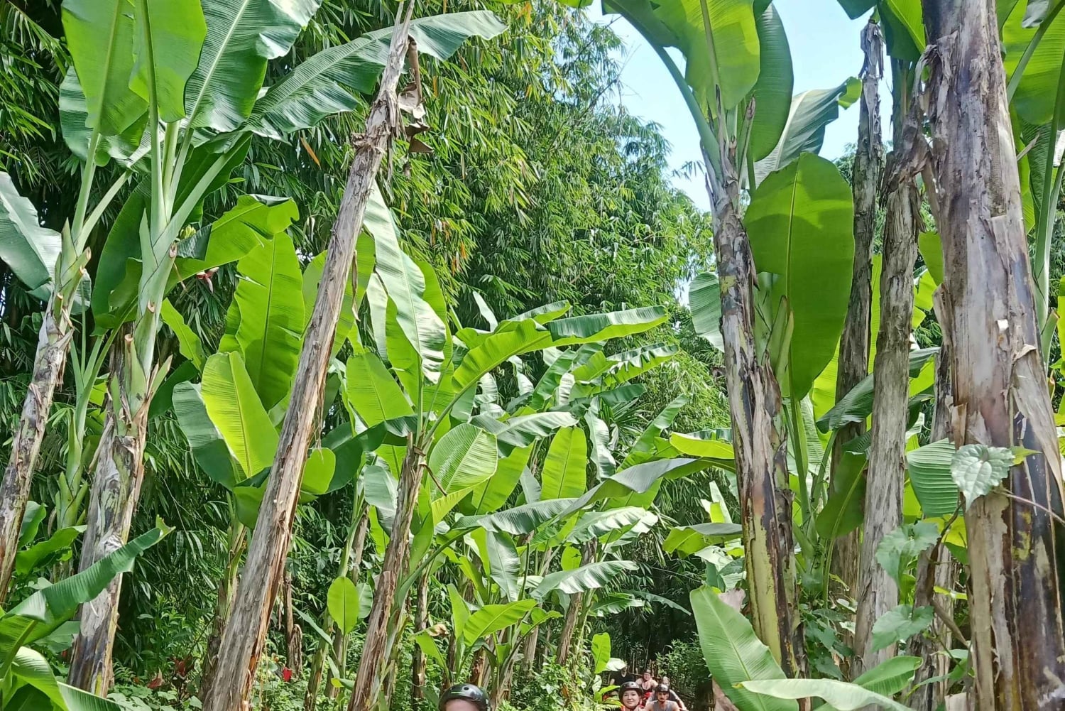 Bali: Gorilla Cave Quad Bike Tour & Cretya Infinity Pool