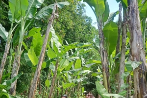 Bali: Gorilla Cave Quad Bike Tour & Cretya Infinity Pool