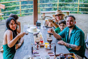 Bali: Graceful Art, Sacred Forest, Serenity and Lotus Bloom