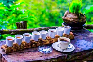 Bali: Graceful Art, Sacred Forest, Serenity and Lotus Bloom