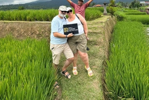 Bali: Green and Heritage West Trip Private Tour, Luxury Car