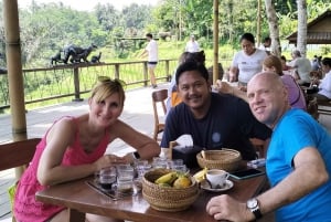 Bali: Green and Heritage West Trip Private Tour, Luxury Car
