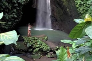 Bali: Green and Heritage West Trip Private Tour, Luxury Car