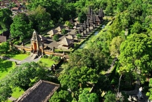 Bali: Green and Heritage West Trip Private Tour, Luxury Car